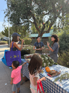 CropSwap - ElMonte - 2026 - IMG_3282 (1)